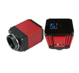 工業(yè)相機(jī)技術(shù)解析 CCD傳感器與VGA、USB接口的應(yīng)用